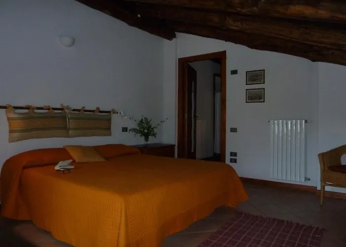 Agriturismo La Vecchia Quercia