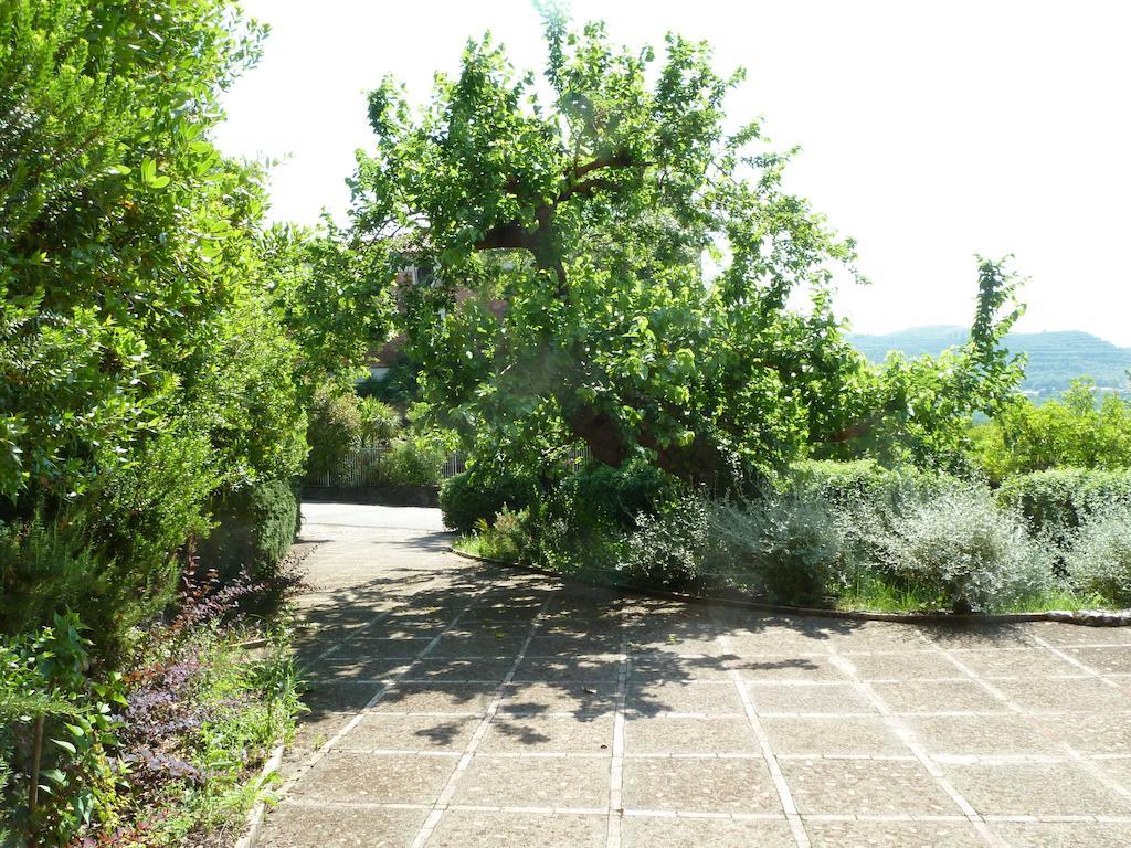 Agriturismo La Vecchia Quercia Vakantieboerderij San Cipriano Picentino