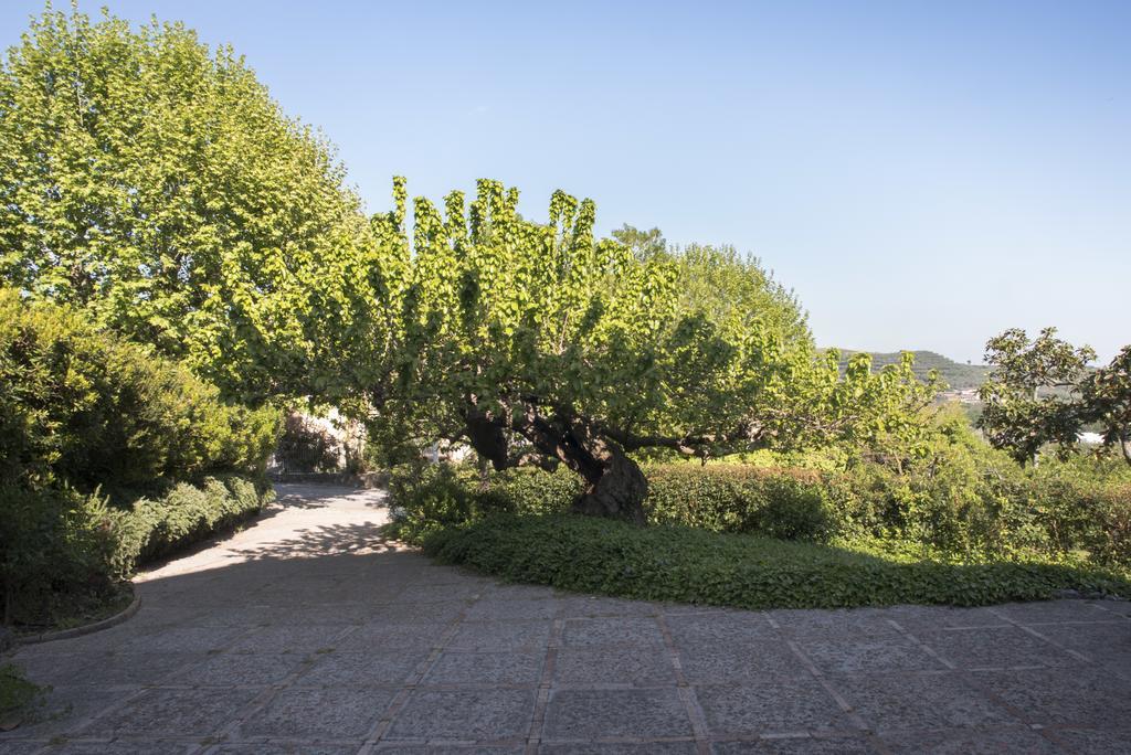La Vecchia Quercia Alojamento de Turismo Rural San Cipriano Picentino