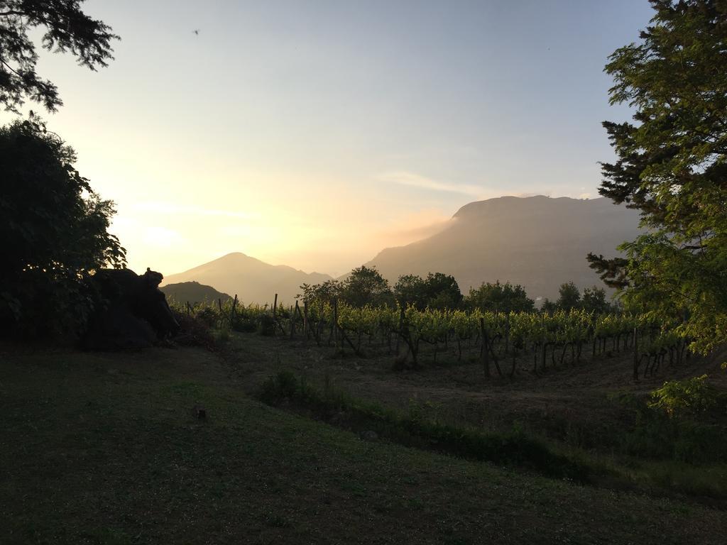La Vecchia Quercia Bauernhof