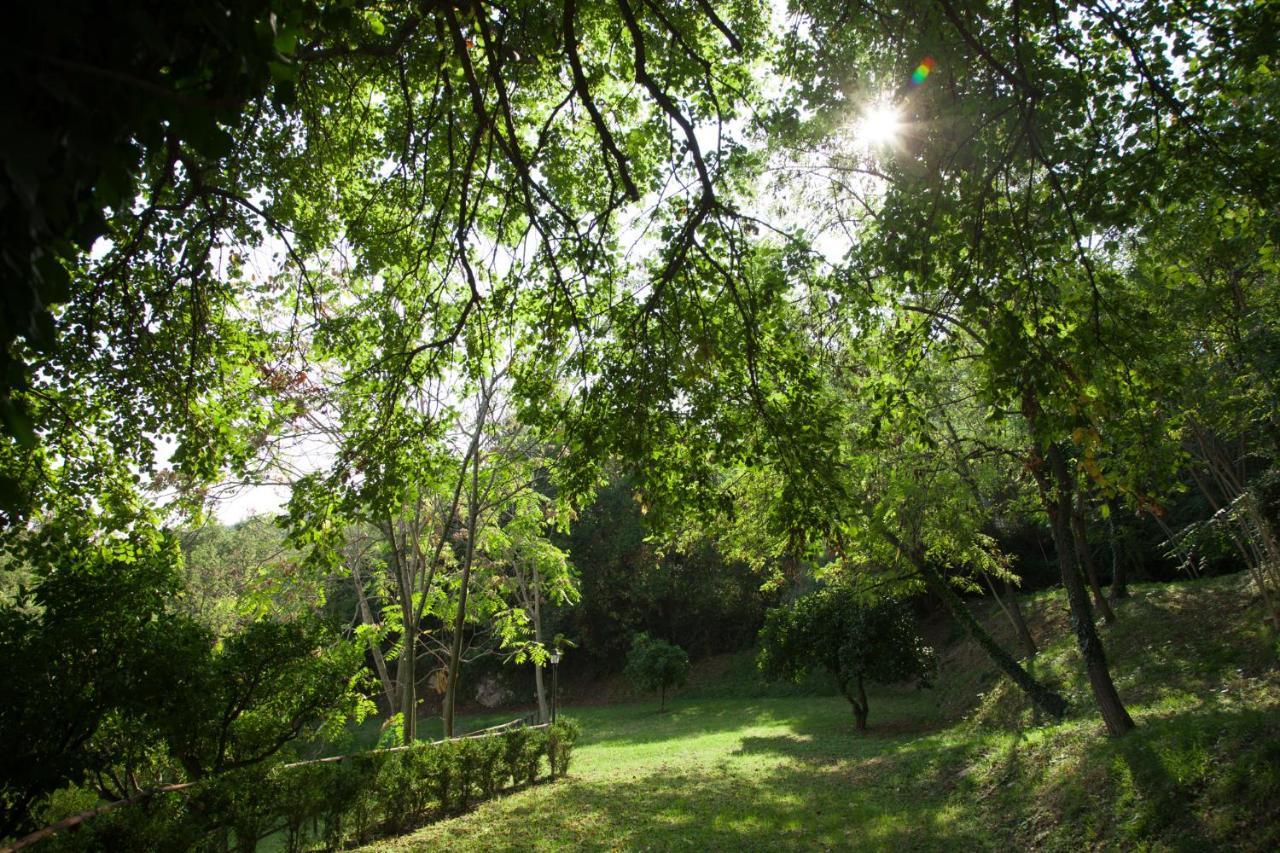 Alojamento de Turismo Rural La Vecchia Quercia
