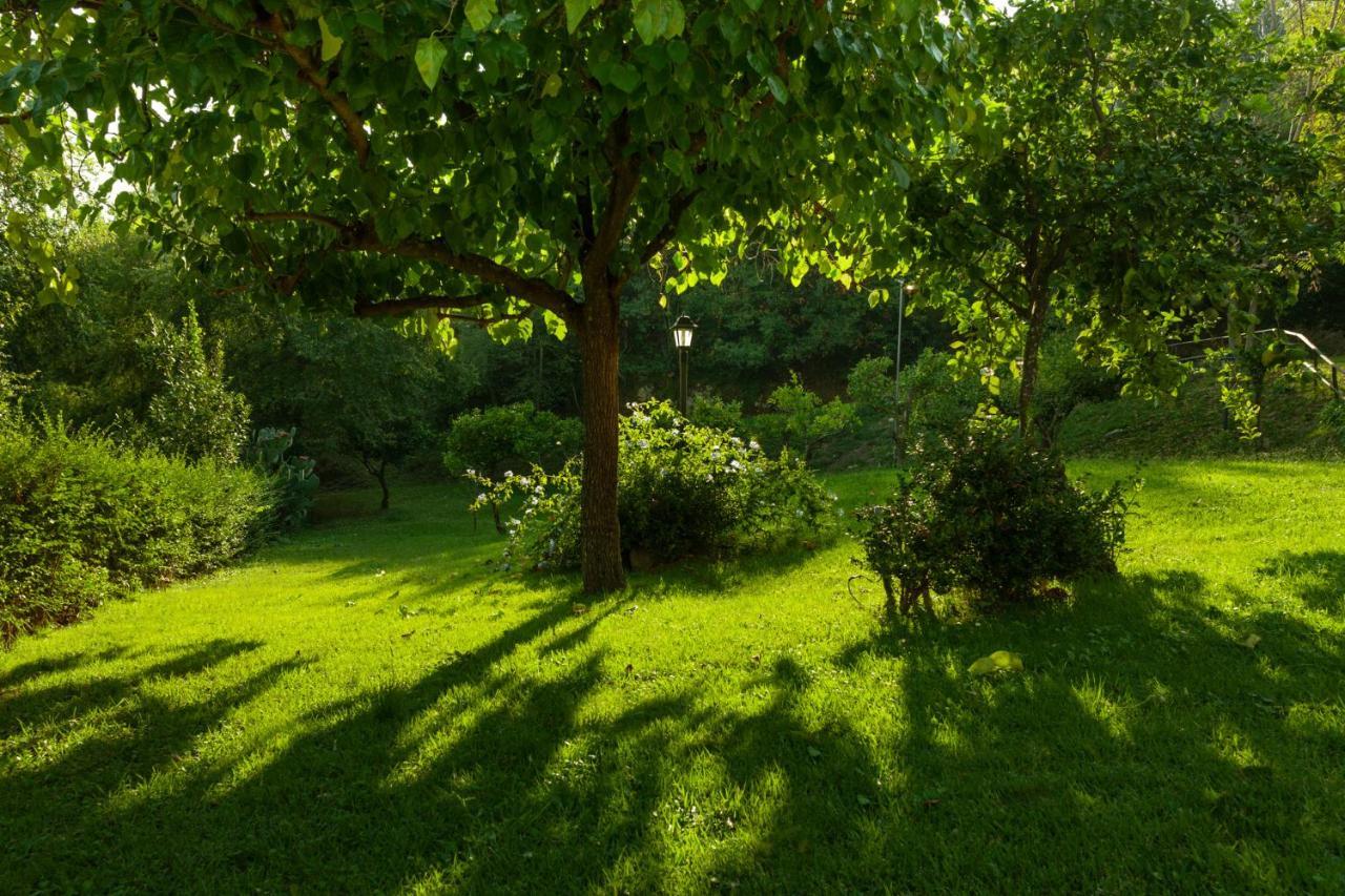 La Vecchia Quercia Alojamento de Turismo Rural San Cipriano Picentino